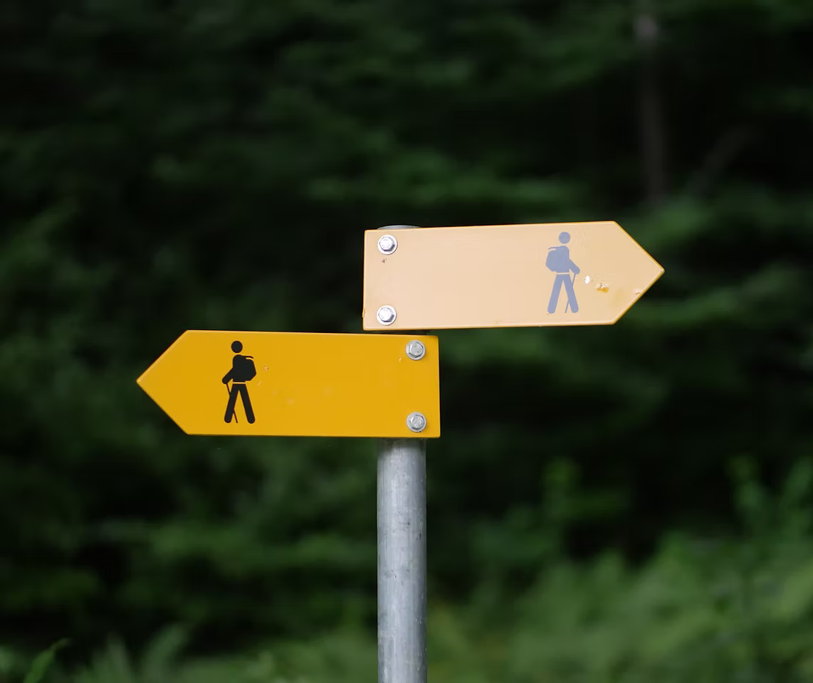 Image by Marco Kaufmann